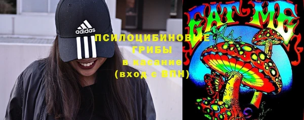 мдпв Белокуриха