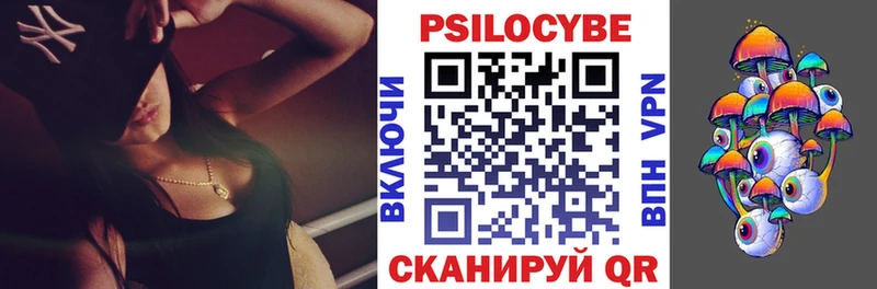 Галлюциногенные грибы Cubensis купить наркотики цена Кудрово